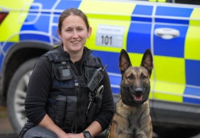 A dog handlers with their police dog