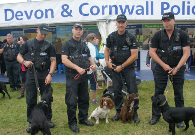 Dog Handlers with dogs